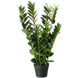 BOLTZE GRUPPE Kunstpflanze Zamioculcas in einem Topf, 76 cm BOLTZE GRUPPE Kunstpflanze Zamioculcas in einem Topf, 76 cm