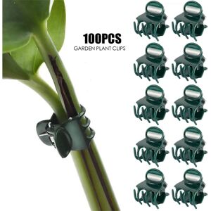 LNTYQ 100 Stück Orchideenclips aus Kunststoff, Rankhilfe Pflanzenclips, Befestigungsclips für Gartenpflanzen, Gurken und andere Kletterpflanzen, stabile LNTYQ 100 Stück Orchideenclips aus Kunststoff, Rankhilfe Pflanzenclips, Befestigungsclips für Gartenpflanzen, Gurken und andere Kletterpflanzen, stabile