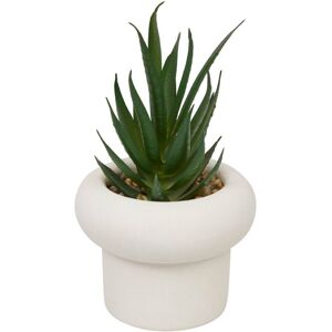 Atmosphera - Künstliche Topfpflanze Stefi 9x9cm - Atmosphera - Künstliche Topfpflanze Stefi 9x9cm -