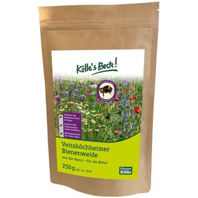 Freudenberger - Bunte Blumenmischung Mössinger Sommer 1 Kg Blumenweide Blumensamen Bienen Freudenberger - Bunte Blumenmischung Mössinger Sommer 1 Kg Blumenweide Blumensamen Bienen