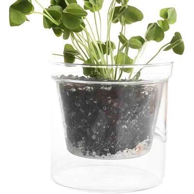 OEM Transparenter Pflanzkübel – Doppelwandiger Blumentopf – Pflanzenpflege – Integrierter Wasserspeicher – 13 X 13 X 13 Cm – Transparent OEM Transparenter Pflanzkübel – Doppelwandiger Blumentopf – Pflanzenpflege – Integrierter Wasserspeicher – 13 X 13 X 13 Cm – Transparent