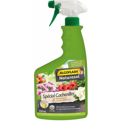 Fertig Anwendbares Insektizid Gegen Schildläuse - Algoflash 750 Ml Fertig Anwendbares Insektizid Gegen Schildläuse - Algoflash 750 Ml