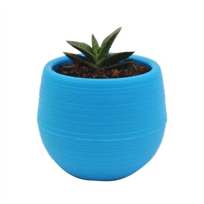 HEAT Sukkulententopf, Mini-anzuchttopf, Kunststoff-blumentopf Für Garten, Hof, Balkon, Blau HEAT Sukkulententopf, Mini-anzuchttopf, Kunststoff-blumentopf Für Garten, Hof, Balkon, Blau