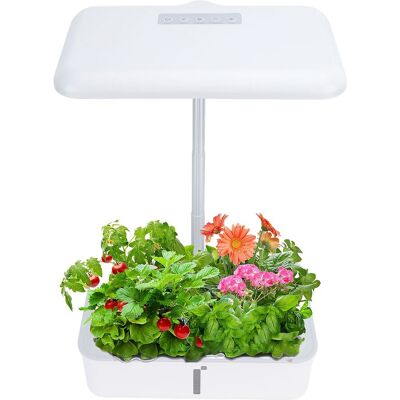 JUTE Intelligentes 20w Led-hydroponiksystem Für Pflanzen Und Blumen, 5l Fassungsvermögen, Für Den Erdlosen Anbau Von Obst Und Gemüse, Mit Keimschale, Entspricht Den Europäischen Normen 100-240v. JUTE Intelligentes 20w Led-hydroponiksystem Für Pflanzen Und Blumen, 5l Fassungsvermögen, Für Den Erdlosen Anbau Von Obst Und Gemüse, Mit Keimschale, Entspricht Den Europäischen Normen 100-240v.
