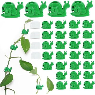 OEM Schneckenförmige Pflanzenclips – Rankhilfen Für Kletterpflanzen – Pflanzen Ordnen – Selbstklebend – 3,5 Cm Lang – Grün OEM Schneckenförmige Pflanzenclips – Rankhilfen Für Kletterpflanzen – Pflanzen Ordnen – Selbstklebend – 3,5 Cm Lang – Grün