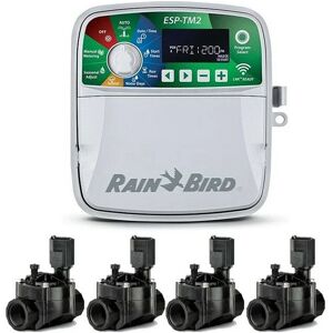 Rain Bird - Automatischer elektrischer Bewässerungsprogrammierer ESP-TM2 4 Zonen Indoor + 4 Elektroventile 100HV 24V 1