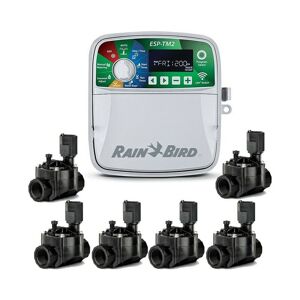 Rain Bird - Automatischer elektrischer Bewässerungsprogrammierer ESP-TM2 6 Zonen Indoor + 6 Elektroventile 100HV 24V 1
