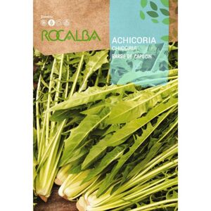 Rocalba - Rokalba Seed Achicoria Barbe de Capucin 100g