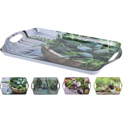 OEM 24 Stück Tablett 38x23cm Grün Platte Teller Tragen Servieren Tisch Decken OEM 24 Stück Tablett 38x23cm Grün Platte Teller Tragen Servieren Tisch Decken