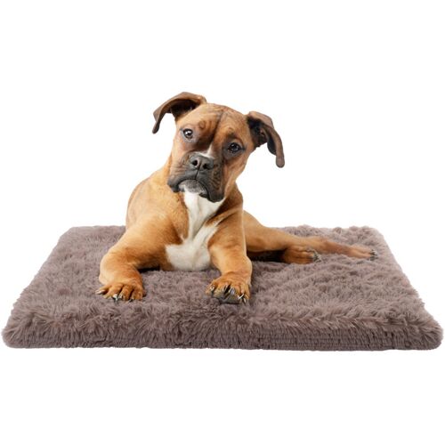 Hundebett Katzenbett Flauschig Hundekissen Hundesofa Hundedecke Hundekörbchen Beige, 50x80 cm - Paco Home