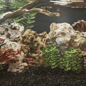 vidaXL Drachensteine Natürlicher Fels - Aquarium Steine - 25 kg vidaXL Drachensteine Natürlicher Fels - Aquarium Steine - 25 kg