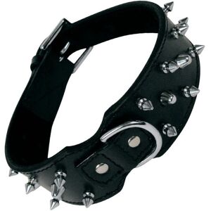 Hundehalsband Gloria Spikes Schwarz 70 Cm Hundehalsband Gloria Spikes Schwarz 70 Cm