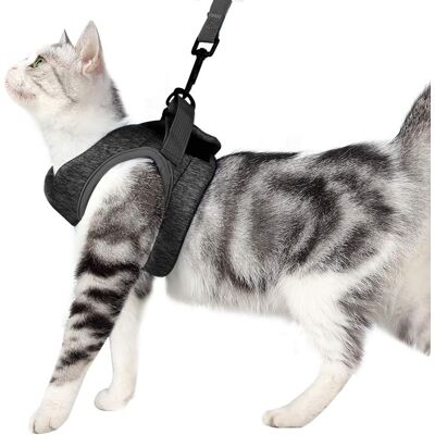 GROOFOO Ultraleichtes Katzengeschirr Mit Leine, Weiches Und Bequemes Kittenhalsband, Katzenlaufjacke, Auslaufsicher, Geeignet Für Welpen Und Kaninchen (grau, M) GROOFOO Ultraleichtes Katzengeschirr Mit Leine, Weiches Und Bequemes Kittenhalsband, Katzenlaufjacke, Auslaufsicher, Geeignet Für Welpen Und Kaninchen (grau, M)