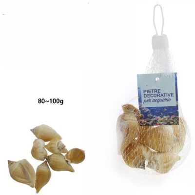 TRADE SHOP TRAESIO Trade Shop - Muscheln Beutel 80 - 100 Gr Aquariumdekoration 70287 - TRADE SHOP TRAESIO Trade Shop - Muscheln Beutel 80 - 100 Gr Aquariumdekoration 70287 -
