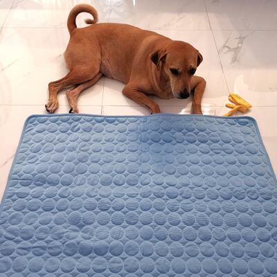 HEAT Kühlmatte Für Hunde, Katzen Und Welpen, Ungiftig, Zur Linderung Der Sommerhitze. HEAT Kühlmatte Für Hunde, Katzen Und Welpen, Ungiftig, Zur Linderung Der Sommerhitze.