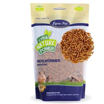 10 Kg Lyra Pet® Mehlwürmer Für Nager 10 Kg Lyra Pet® Mehlwürmer Für Nager