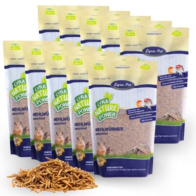 10 X 1 Kg Lyra Pet Mehlwürmer Getrocknet 10 X 1 Kg Lyra Pet Mehlwürmer Getrocknet