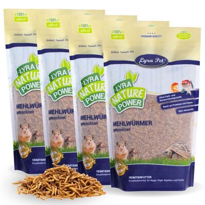 4 X 1 Kg Lyra Pet Mehlwürmer Getrocknet 4 X 1 Kg Lyra Pet Mehlwürmer Getrocknet