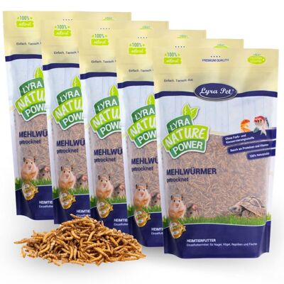 5 X 1 Kg Lyra Pet Mehlwürmer Getrocknet 5 X 1 Kg Lyra Pet Mehlwürmer Getrocknet