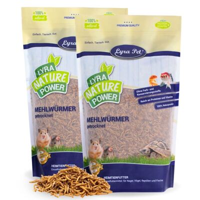 2 X 1 Kg Lyra Pet Mehlwürmer Getrocknet 2 X 1 Kg Lyra Pet Mehlwürmer Getrocknet