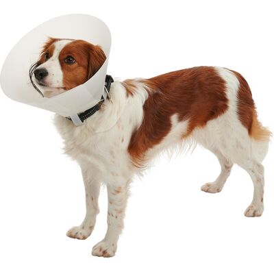 KRUUSE Buster Classic Opaker Elisabetan Halsband - 7,5cm für Hunde 1-3kg KRUUSE Buster Classic Opaker Elisabetan Halsband - 7,5cm für Hunde 1-3kg