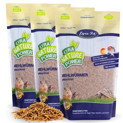3 X 1 Kg Lyra Pet Mehlwürmer Getrocknet 3 X 1 Kg Lyra Pet Mehlwürmer Getrocknet