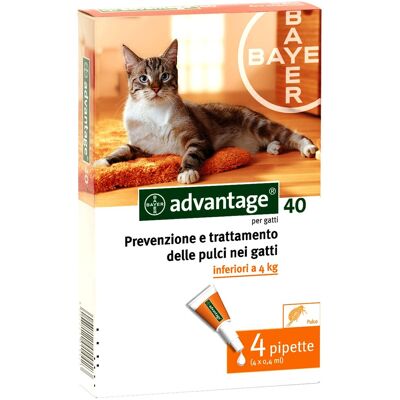 LED LEDS Vorteilspunkt Für 40 Mg Niedrige Katze 4 Kg 4 Pipetten LED LEDS Vorteilspunkt Für 40 Mg Niedrige Katze 4 Kg 4 Pipetten