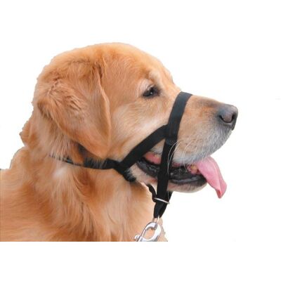 Nobby Easy Leader - Hundehalsband und Leine Nobby Easy Leader - Hundehalsband und Leine