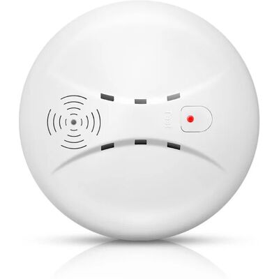 OEM Tragbarer Rauchmelder Mit Eigenständigem Sensor Für Die Brandmeldeanlage Zu Hause, Büro, Einkaufszentrum, Hotel Und Restaurant OEM Tragbarer Rauchmelder Mit Eigenständigem Sensor Für Die Brandmeldeanlage Zu Hause, Büro, Einkaufszentrum, Hotel Und Restaurant