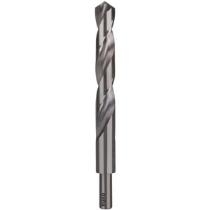 2004125 Hss-g Spiralbohrer 12.5 Mm Gesamtlänge 151 Mm Din 338 1 St. - Ruko 2004125 Hss-g Spiralbohrer 12.5 Mm Gesamtlänge 151 Mm Din 338 1 St. - Ruko