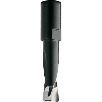 CMT 380.141.11 Fräser - HWM für Domino-Maschinen CMT 380.141.11 Fräser - HWM für Domino-Maschinen