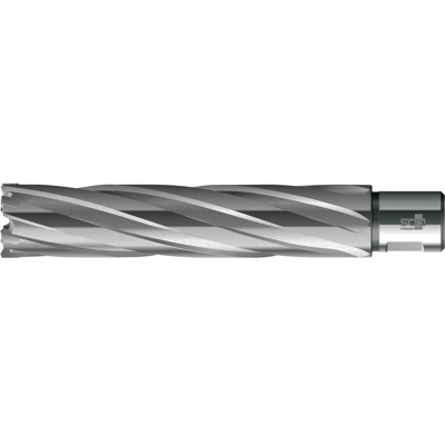 BDS Weldon Kernbohrer - 37/110mm - Bohrertyp BDS Weldon Kernbohrer - 37/110mm - Bohrertyp