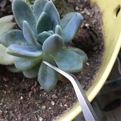 HEAT 2-in-1 Bonsai-wurzelrechen, Gartenpinzette Aus Edelstahl, Gartenwerkzeug HEAT 2-in-1 Bonsai-wurzelrechen, Gartenpinzette Aus Edelstahl, Gartenwerkzeug