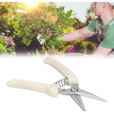 JUTE Gartenschere Mit Geraden Klingen, Elfenbeinweißem Griff, Artikelnummer 11806, Für Dicke Äste, Topfpflanzen, Gartenarbeit Und Pflanzenbau. JUTE Gartenschere Mit Geraden Klingen, Elfenbeinweißem Griff, Artikelnummer 11806, Für Dicke Äste, Topfpflanzen, Gartenarbeit Und Pflanzenbau.