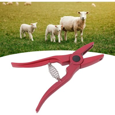 JUTE Integrierter, Lammförmiger Ohrmarkenclip, Faltbarer, Lammförmiger Ohrmarkenclip, Faltbarer Ohrmarkenclip Mit Band JUTE Integrierter, Lammförmiger Ohrmarkenclip, Faltbarer, Lammförmiger Ohrmarkenclip, Faltbarer Ohrmarkenclip Mit Band