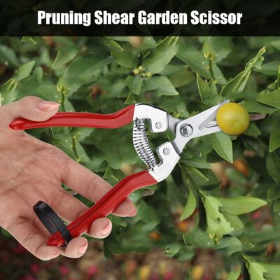HEAT Hochleistungs-gartenschere Für Bonsai Und Obstbäume, Gebogene Klinge, Präzisions-gartenwerkzeug, 1 Stück. HEAT Hochleistungs-gartenschere Für Bonsai Und Obstbäume, Gebogene Klinge, Präzisions-gartenwerkzeug, 1 Stück.
