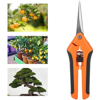 JUTE 6,5 Zoll Lange, Manuelle Gartenschere Mit Gerader Klinge Aus Edelstahl, Orange. JUTE 6,5 Zoll Lange, Manuelle Gartenschere Mit Gerader Klinge Aus Edelstahl, Orange.
