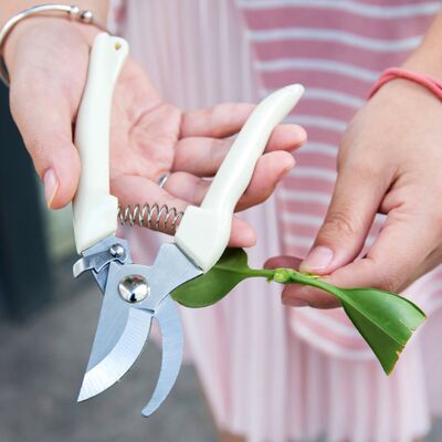 HEAT Gartenschere-set Aus Edelstahl Mit Rutschfester Oberfläche, Inklusive Astschere Und Baumschneider. HEAT Gartenschere-set Aus Edelstahl Mit Rutschfester Oberfläche, Inklusive Astschere Und Baumschneider.