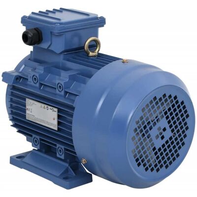 3-phasen-elektromotor Aluminium 4 Kw 5,5 Ps 2-polig 2840 U/min Vidaxl 3-phasen-elektromotor Aluminium 4 Kw 5,5 Ps 2-polig 2840 U/min Vidaxl