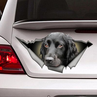 HEAT Wasserfester 3d-hundeaufkleber, Auffälliger Aufkleber Mit Zerbrochenem Fensterauge Für Wand Und Notizbuch. HEAT Wasserfester 3d-hundeaufkleber, Auffälliger Aufkleber Mit Zerbrochenem Fensterauge Für Wand Und Notizbuch.