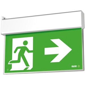 Notleuchte Beghelli SA UP LED EXIT Flag 1/2/3H 4320