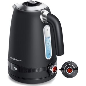 AIGOSTAR Digitaler Edelstahl Wasserkocher mit Temperatureinstellung 40-100 Grad, Temperaturanzeige, Warmhaltefunktion, 1,7 Liter 2200W Electric Kettle Retro