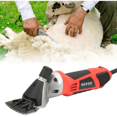 JUTE Elektrische Wollschere Mit Hoher Leistung (1000 W), Entspricht Dem Europäischen Standard 220 V JUTE Elektrische Wollschere Mit Hoher Leistung (1000 W), Entspricht Dem Europäischen Standard 220 V