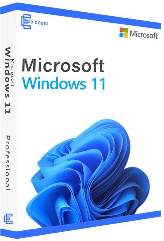 Microsoft Windows 11 Professional