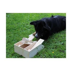 Procyon Lernspielzeug für Hunde, Hundepiano, Holz