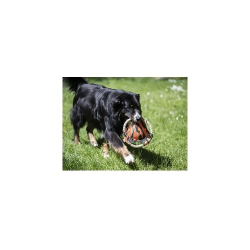 Procyon Wurfscheibe Dummy, Hundetraining, Fangspielzeug