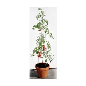 Bellissa Tomatenturm 120cm 120 cm hoch