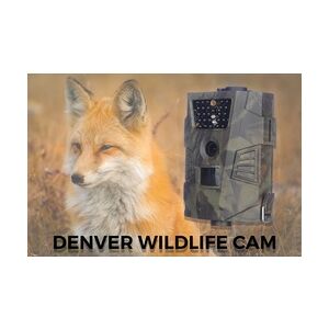 Denver Wild- und Überwachungskamera WCT-5001 12 Megapixel, grün-braun