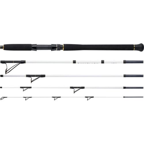 WFT Steckrute Salzmeister Coastal Jigger Länge 2,75m Wurfgewicht 40-160g