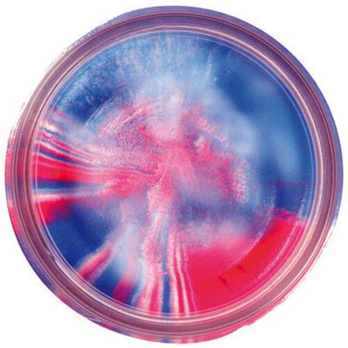 Berkley PowerBait Natural Glitter Toutbait GARLIC Captain America